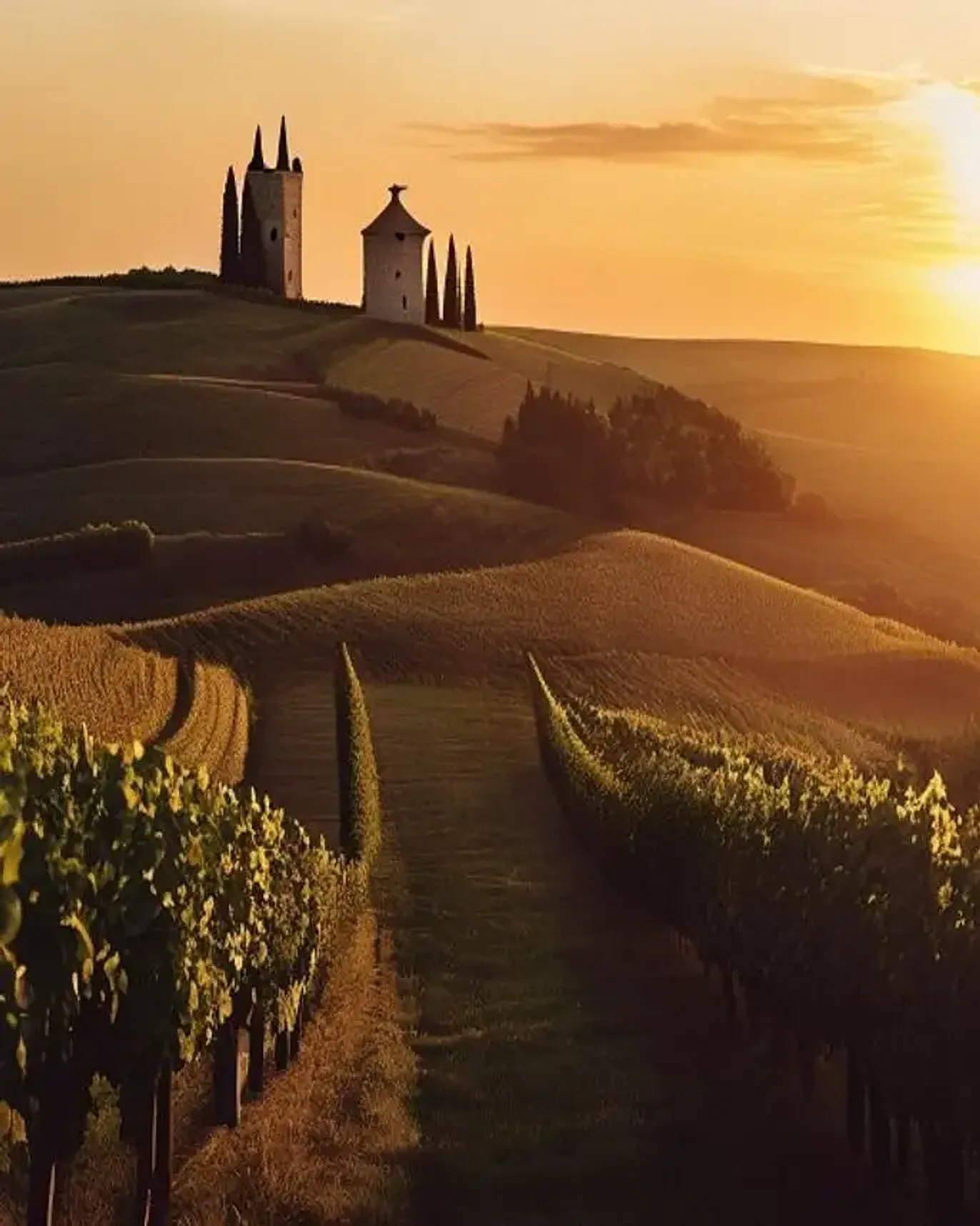 Vineyards, towers, long lunches