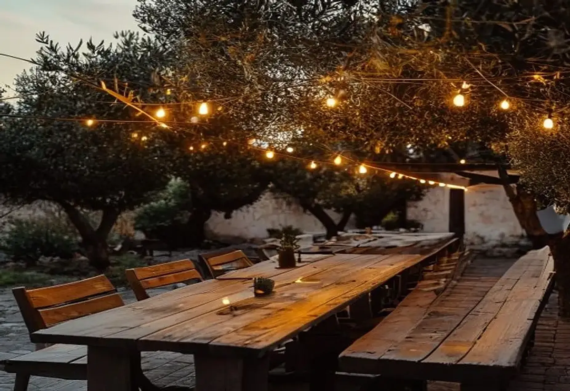 Finca Olea — Dinner under the wires