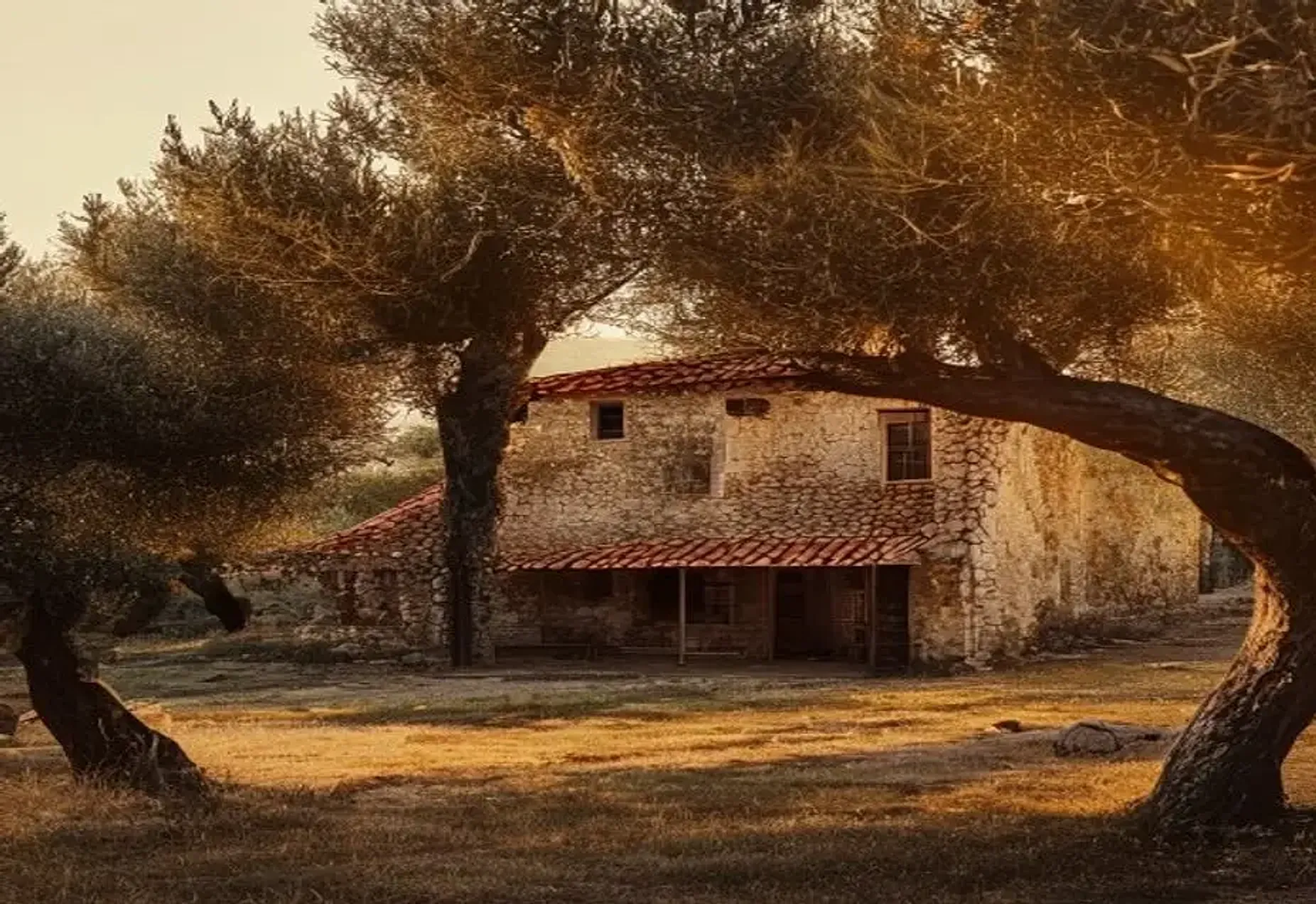 Finca Olea — Turn off the road